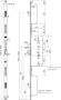 Afbeelding - https-www-ez-catalog-nl-Asset-54c4eba47e254ba6b435cd3064044fed-ImageFullSize-9491702652TEK-jpg